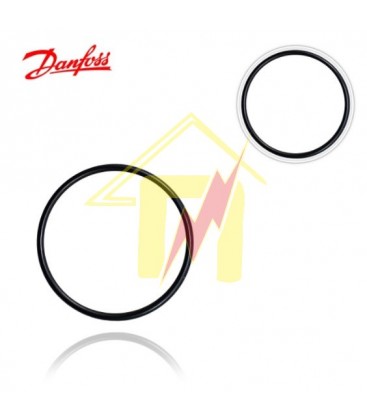 O-ring Αντλίας Danfoss BFP