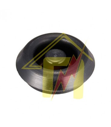 Μεμβράνη Κεντρικής Βαλβίδας