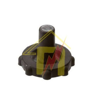 Μεμβράνη Κεντρικής Βαλβίδας